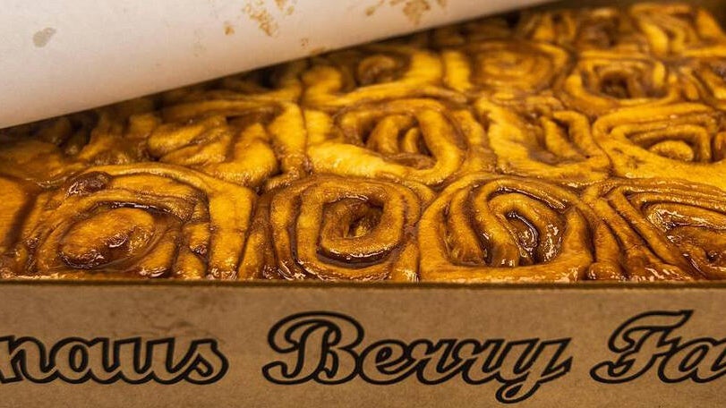 Knaus Berry Farm opens for its 70th season with changes to how customers can get its famous cinnamon rolls — CBS Miami, Aventura Business news