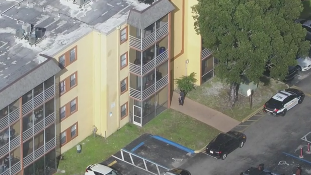 10-year-old girl hospitalized after 8-year-old brother throws knife and hits chest, Lauderhill police say — CBS Miami, Aventura Health news