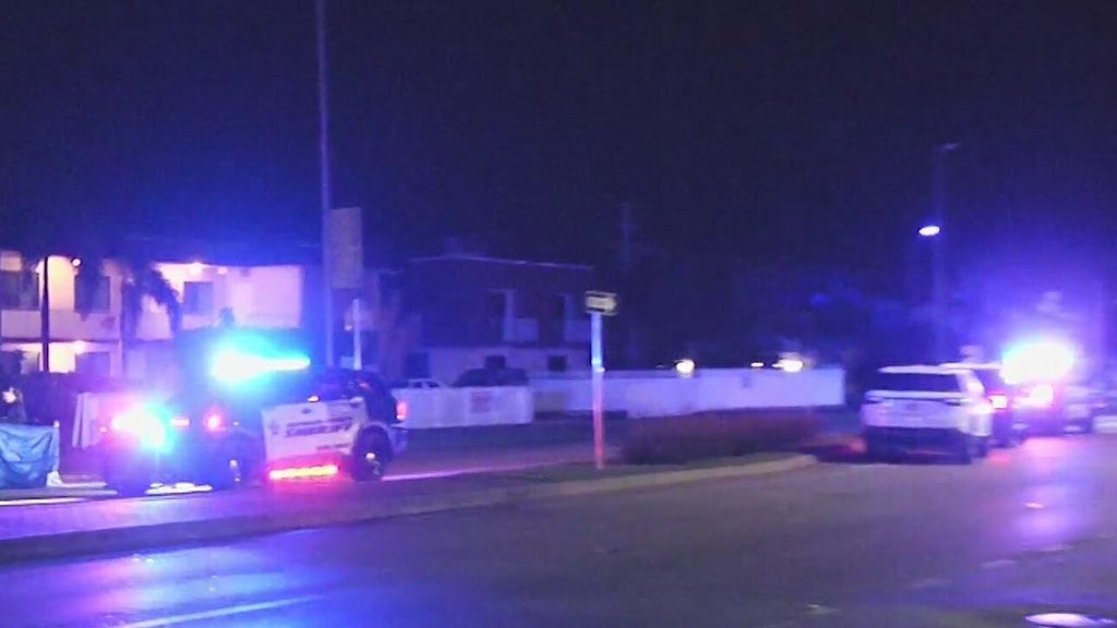 Woman accused of killing man in Dania Beach hit-and-run, BSO says — CBS Miami, Aventura Community news