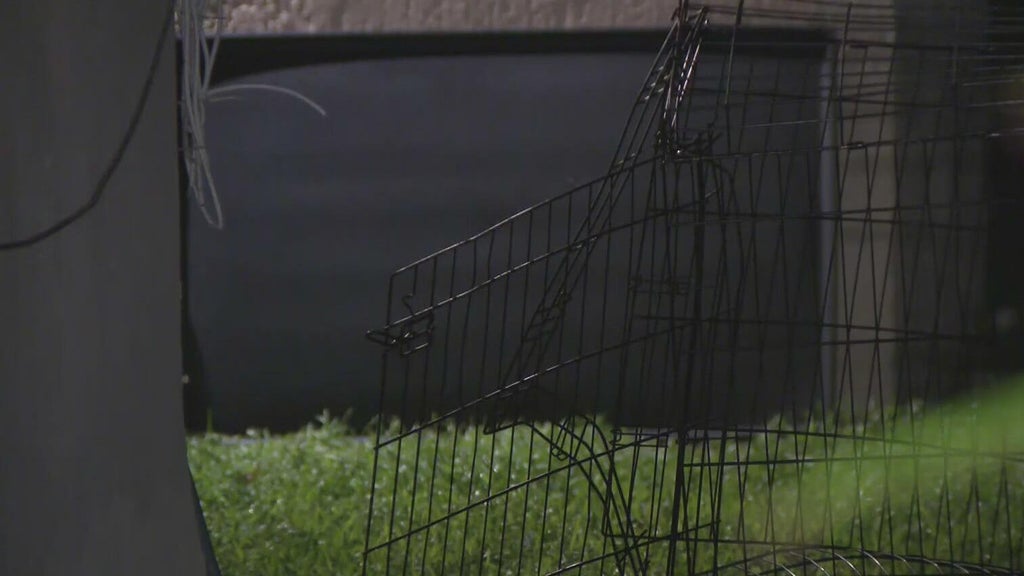 911 call captures frantic report of dog chasing, biting children in Miami — CBS Miami, Aventura Health news