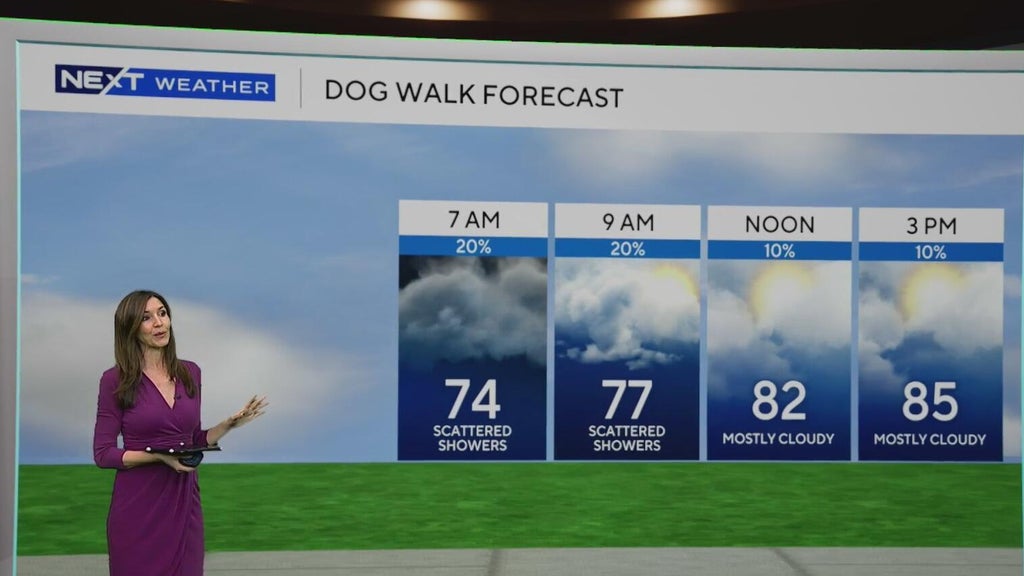 South Florida sees some showers Tuesday, but rain chances rise by end of week — CBS Miami, Aventura Community news