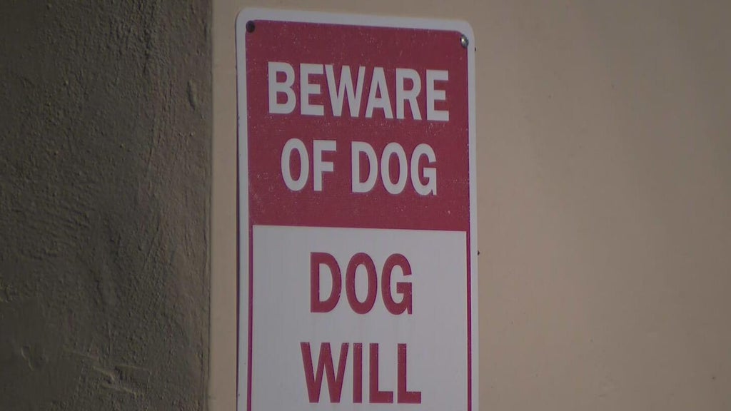 Dog on the loose after attacking a child in northwest Miami-Dade, deputies said — CBS Miami, Aventura Health news