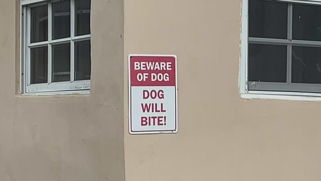 Dog who bit girl in northwest Miami-Dade taken into Animal Services custody — CBS Miami, Aventura Community news