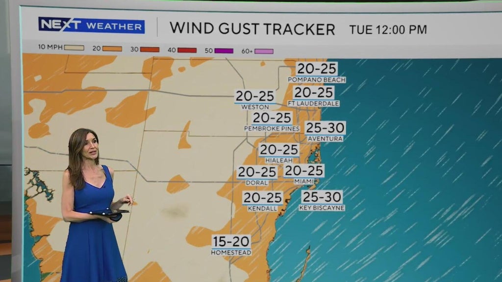 Windy, drier week ahead of taste of fall South Florida style — CBS Miami, Aventura Community news