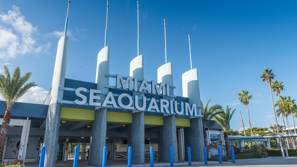 2 Miami-Dade residents sue to require countywide vote on Miami Seaquarium marina development plan — CBS Miami, Aventura Real Estate news