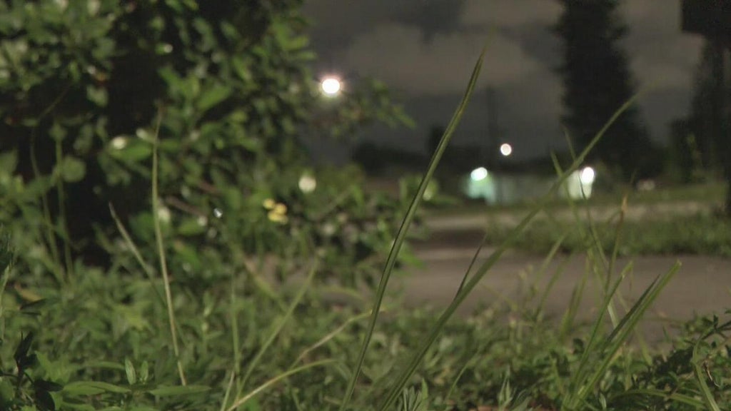Broward mother says she went months without update after reporting man outside her window — CBS Miami, Aventura Real Estate news