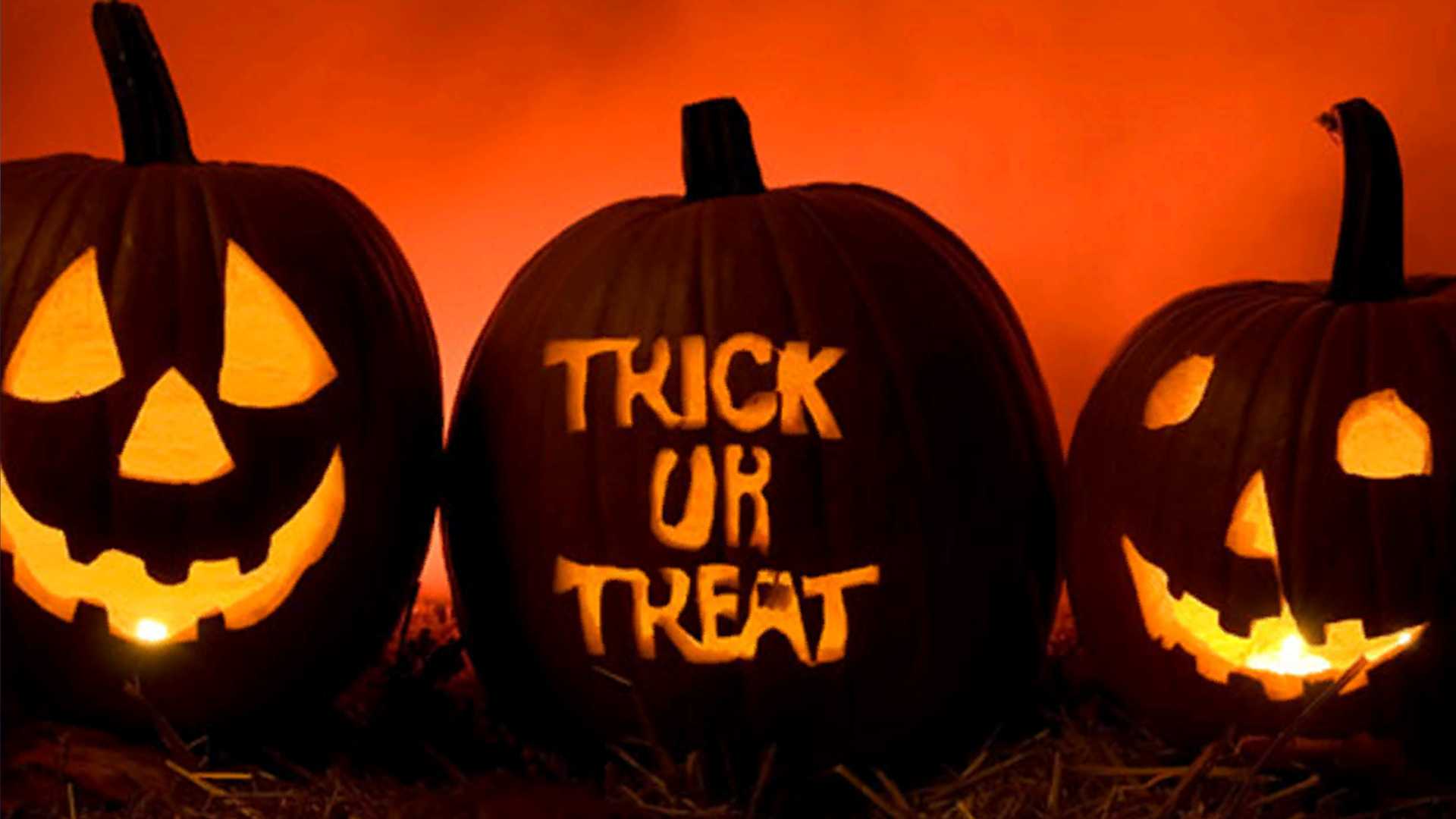 Halloween fun across the Treasure Coast and Palm Beach — WPBF West Palm Beach, Aventura Arts news