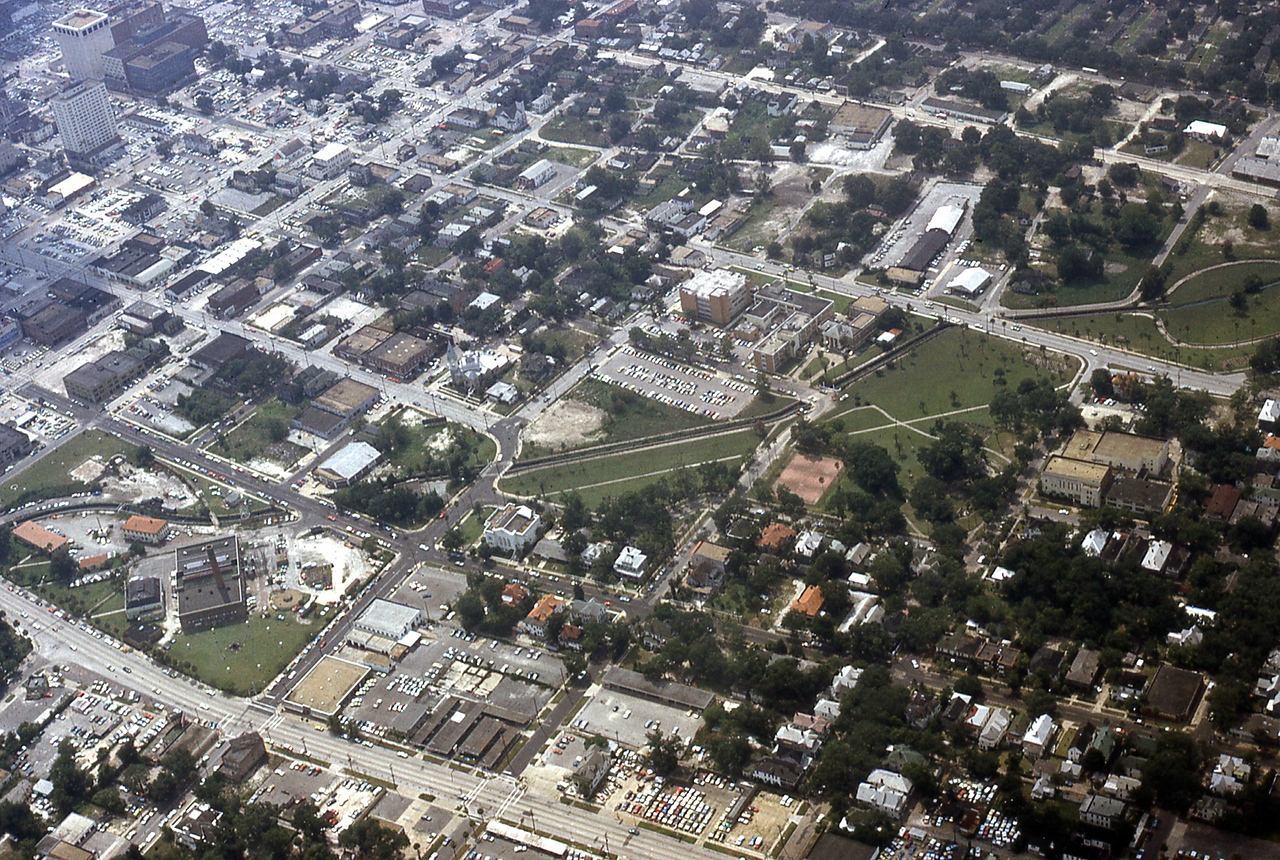 THE JAXSON | The oak tree that remembers Black Bottom — Jacksonville Today, Aventura Schools news
