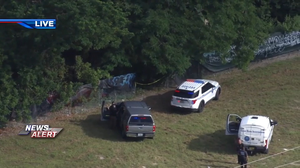 Investigation underway after apparent human remains found in wooded area in Miami — WSVN 7 Miami-Dade