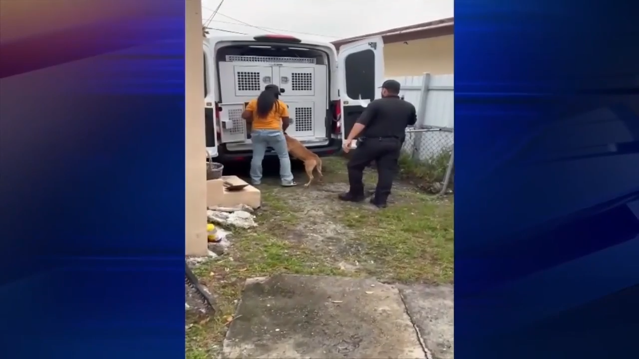 Animal control officials remove dog that bit 17-year-old girl from home as victim is discharged from hospital — WSVN 7 Miami-Dade, Aventura Health news