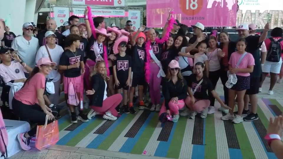 American Cancer Society brings Making Strides Against Breast Cancer campaign to LoanDepot Park — WSVN 7 Miami-Dade