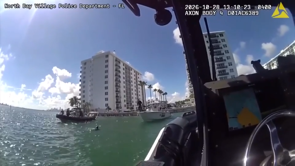 Body camera, drone video captures officers rescuing dolphin stuck in Biscayne Bay — Aventura Sports news