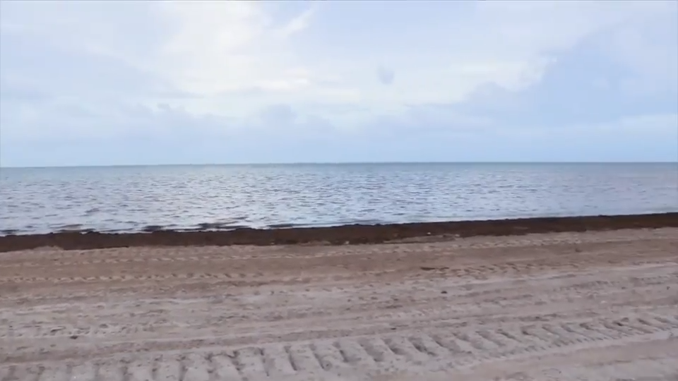 FDOH lifts water quality advisory for Crandon Park South in Key Biscayne — WSVN 7 Miami-Dade