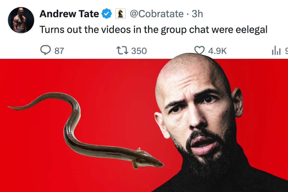 Andrew Tate is having an eel of a time with his animal porn allegations — Miami New Times, Aventura Dining news