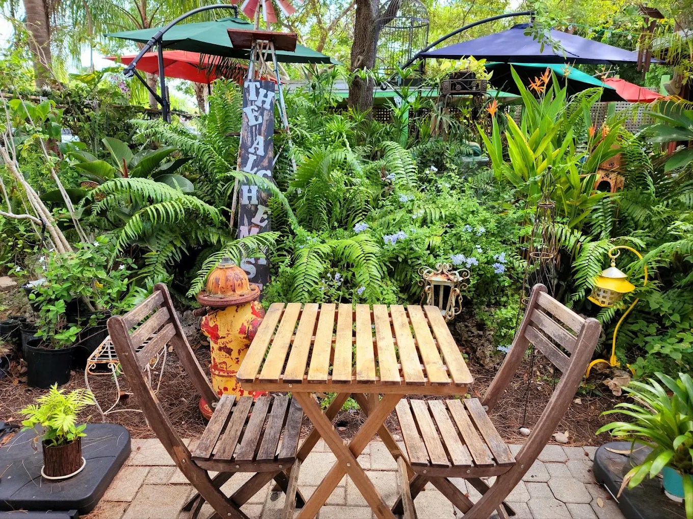 Cherished Wilton Manors garden café forced out for apartment complex — Miami New Times, Aventura Dining news